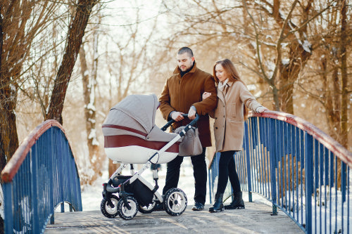 The Evolution of Stroller Transport Solutions