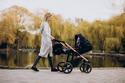 Top Features of the Latest BOB Stroller Car Rack - SCOUT
