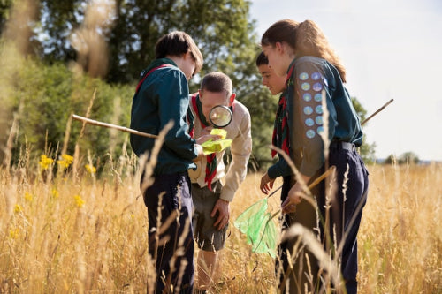 SCOUT's Minimalist Design Appeals to Active Parents