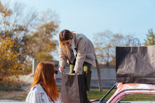 How SCOUT's Carrier Keeps Vehicle Trunks Clean on Trips